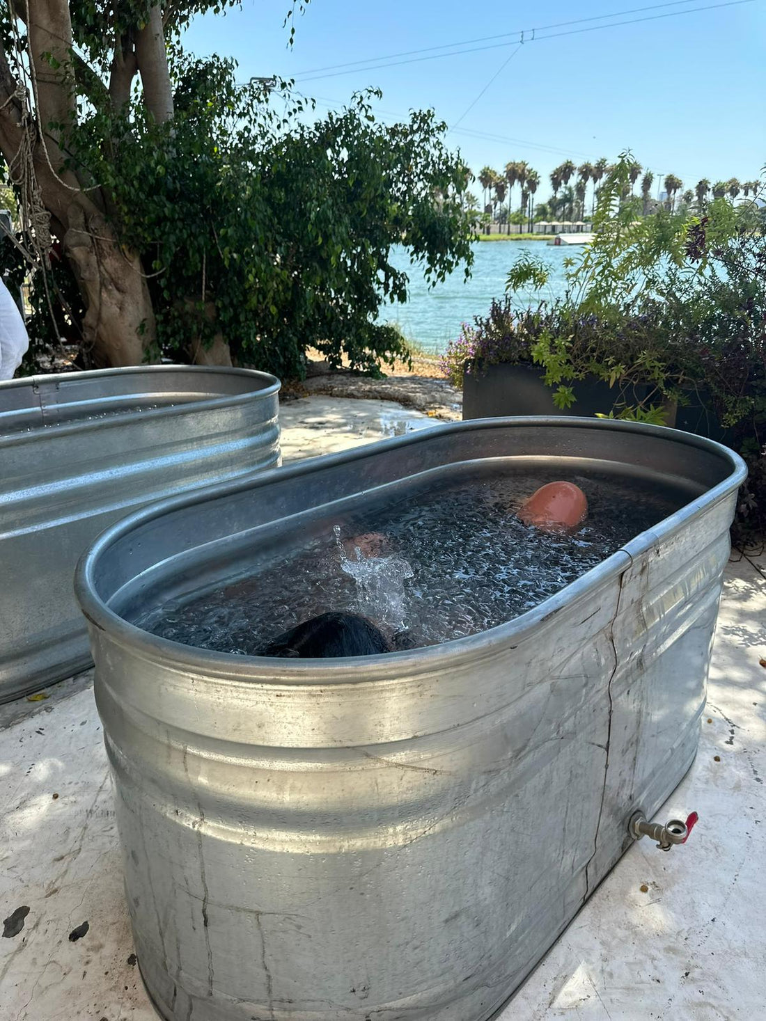 אמבטיית קרח ונשימות